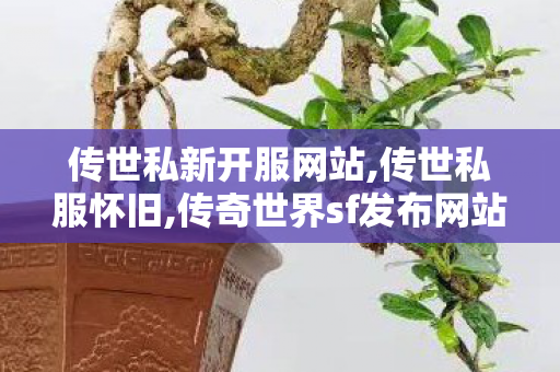 传世私新开服网站,传世私服怀旧,传奇世界sf发布网站,传世私服怀旧
