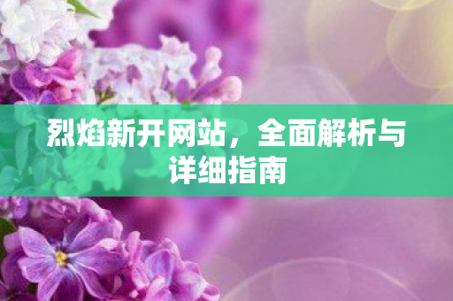 烈焰新开网站，全面解析与详细指南