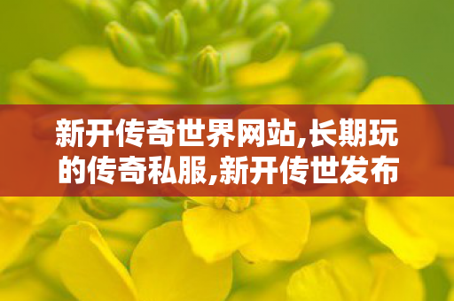 新开传奇世界网站,长期玩的传奇私服,新开传世发布网站,长期玩的传奇私服
