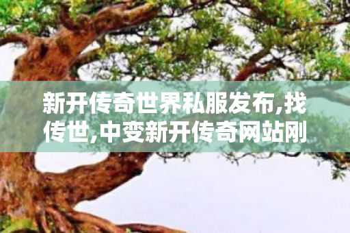 新开传奇世界私服发布,找传世,中变新开传奇网站刚开一秒,找传世