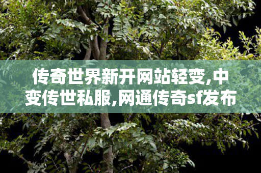 传奇世界新开网站轻变,中变传世私服,网通传奇sf发布网站,中变传世私服