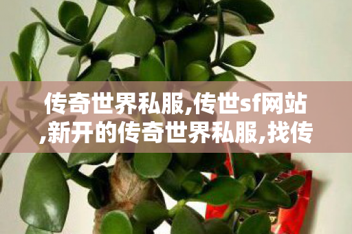 传奇世界私服,传世sf网站,新开的传奇世界私服,找传世私服 最新开,新开的传奇世界私服