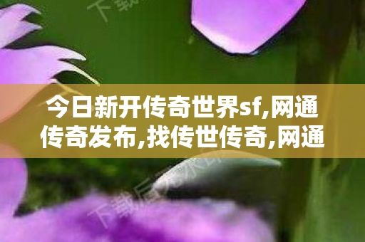 今日新开传奇世界sf,网通传奇发布,找传世传奇,网通传奇发布