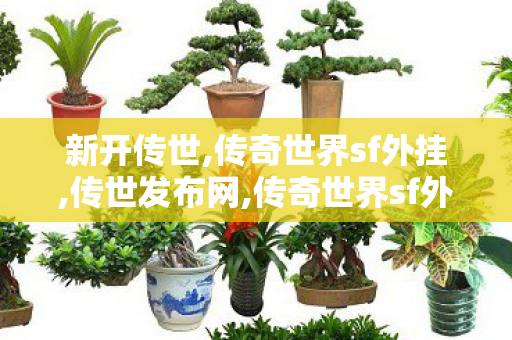 新开传世,传奇世界sf外挂,传世发布网,传奇世界sf外挂