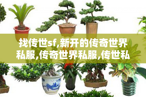 找传世sf,新开的传奇世界私服,传奇世界私服,传世私服新开,新开的传奇世界私服