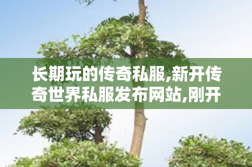 长期玩的传奇私服,新开传奇世界私服发布网站,刚开一秒传世,新开传奇世界私服发布网站