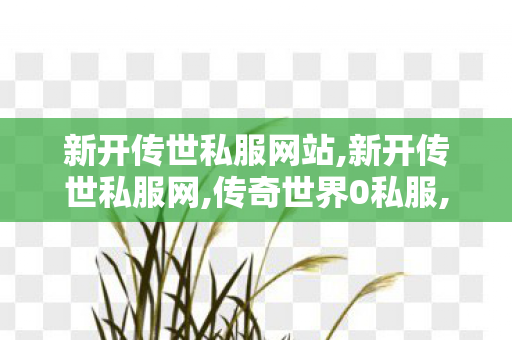 新开传世私服网站,新开传世私服网,传奇世界0私服,新开传世私服网