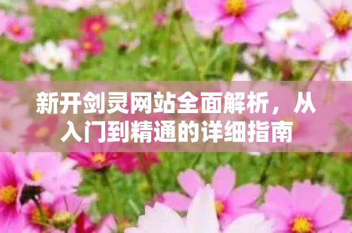 新开剑灵网站全面解析，从入门到精通的详细指南