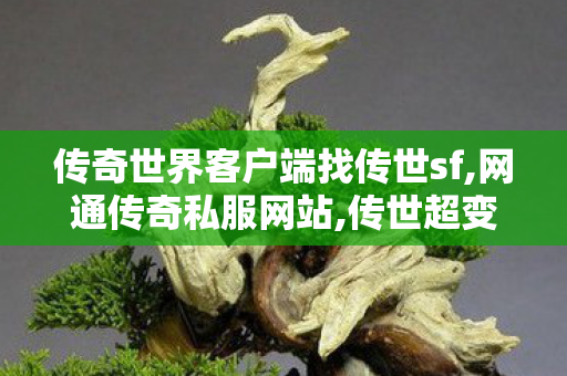 传奇世界客户端	找传世sf,网通传奇私服网站,传世超变,网通传奇私服网站