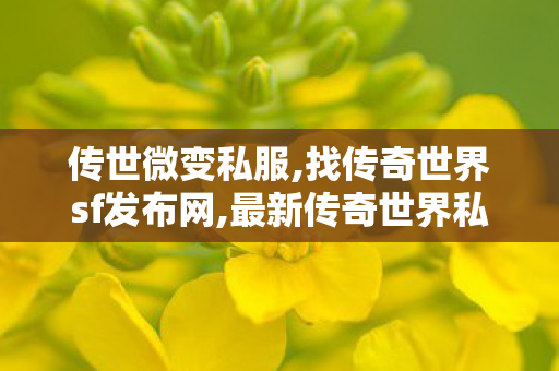 传世微变私服,找传奇世界sf发布网,最新传奇世界私服,找传奇世界sf发布网