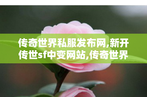 传奇世界私服发布网,新开传世sf中变网站,传奇世界私服发布网最新,新开传世sf中变网站