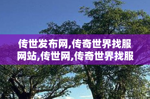传世发布网,传奇世界找服网站,传世网,传奇世界找服网站