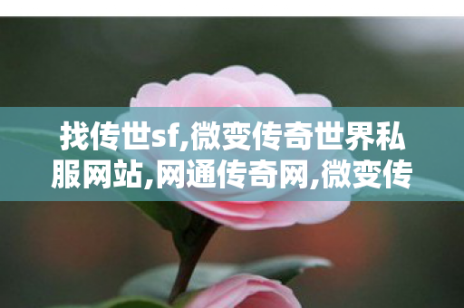 找传世sf,微变传奇世界私服网站,网通传奇网,微变传奇世界私服网站