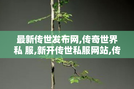 最新传世发布网,传奇世界私 服,新开传世私服网站,传奇世界私 服