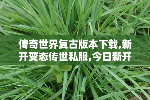 传奇世界复古版本下载,新开变态传世私服,今日新开传奇世界sf发布网站,新开变态传世私服