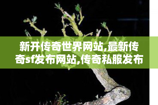 新开传奇世界网站,最新传奇sf发布网站,传奇私服发布网官网,最新传奇sf发布网站