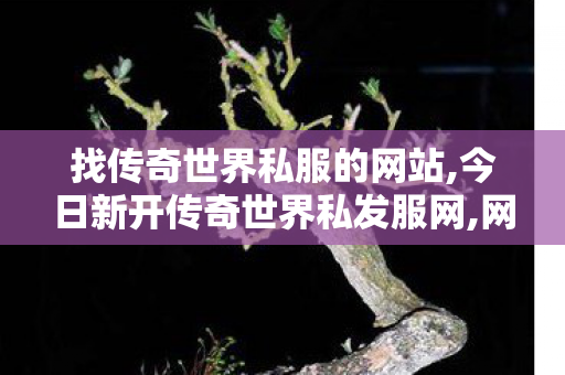 找传奇世界私服的网站,今日新开传奇世界私发服网,网通传奇私服网站,今日新开传奇世界私发服网