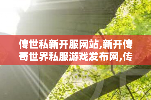 传世私新开服网站,新开传奇世界私服游戏发布网,传奇世界最新版本,新开传奇世界私服游戏发布网