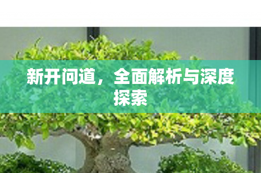 新开问道，全面解析与深度探索