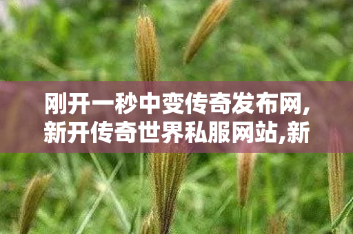 刚开一秒中变传奇发布网,新开传奇世界私服网站,新开中变传世,新开传奇世界私服网站