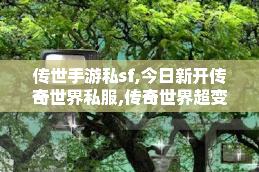 传世手游私sf,今日新开传奇世界私服,传奇世界超变,今日新开传奇世界私服