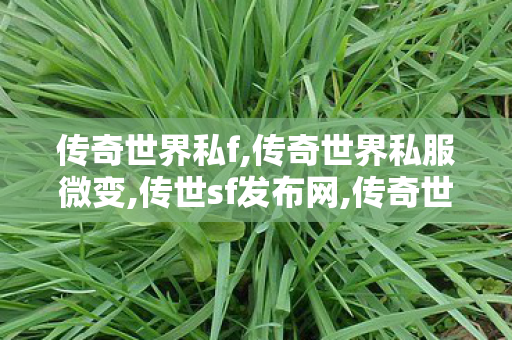 传奇世界私f,传奇世界私服微变,传世sf发布网,传奇世界私服微变