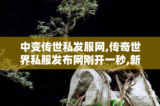 中变传世私发服网,传奇世界私服发布网刚开一秒,新开传奇中变,传奇世界私服发布网刚开一秒
