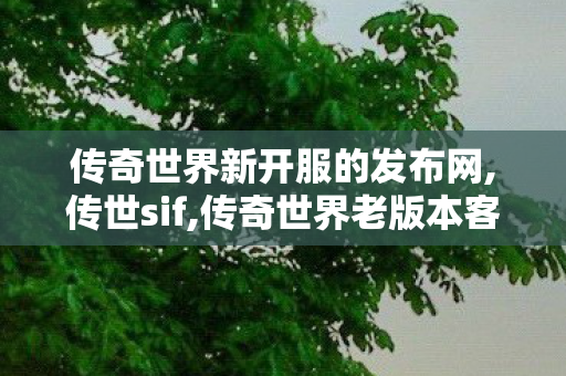传奇世界新开服的发布网,传世sif,传奇世界老版本客户端,传世sif