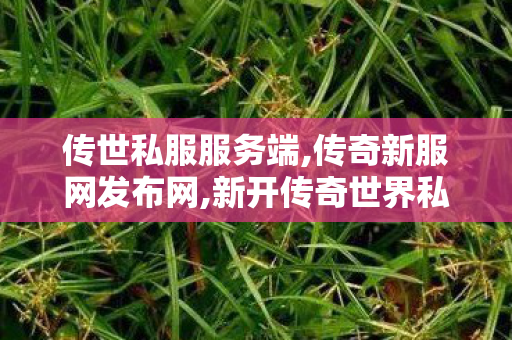 传世私服服务端,传奇新服网发布网,新开传奇世界私服,传奇新服网发布网
