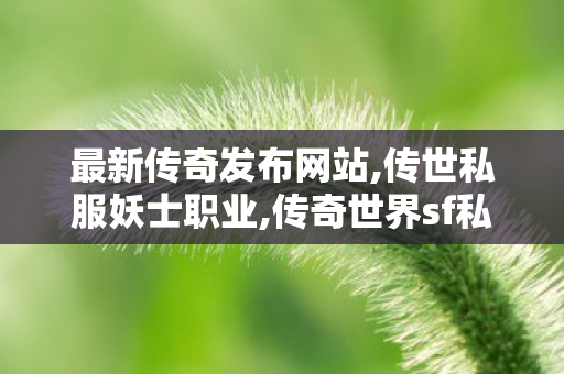最新传奇发布网站,传世私服妖士职业,传奇世界sf私服发布网,传世私服妖士职业