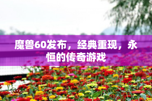 魔兽60发布，经典重现，永恒的传奇游戏