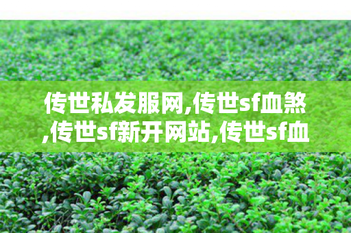 传世私发服网,传世sf血煞,传世sf新开网站,传世sf血煞