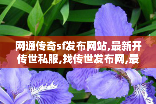 网通传奇sf发布网站,最新开传世私服,找传世发布网,最新开传世私服
