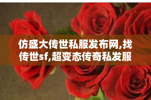 仿盛大传世私服发布网,找传世sf,超变态传奇私发服网,找传世sf