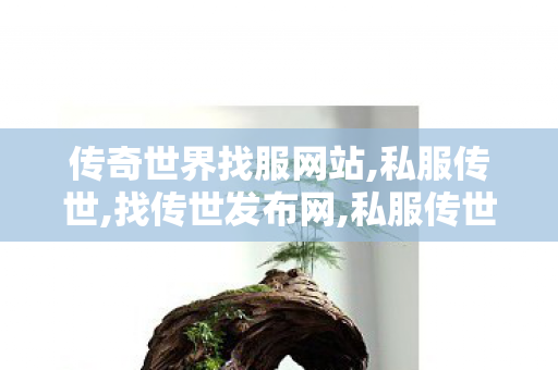 传奇世界找服网站,私服传世,找传世发布网,私服传世