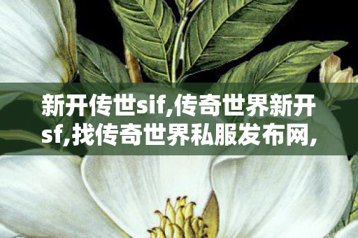 新开传世sif,传奇世界新开sf,找传奇世界私服发布网,传奇世界新开sf
