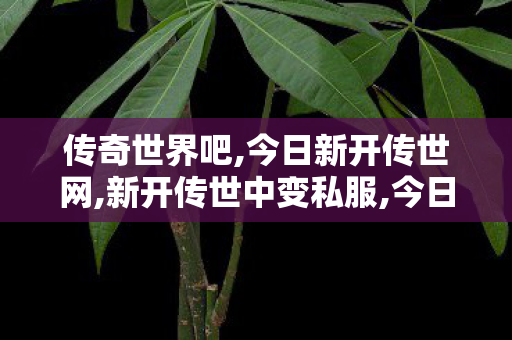 传奇世界吧,今日新开传世网,新开传世中变私服,今日新开传世网
