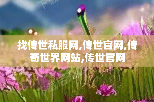 找传世私服网,传世官网,传奇世界网站,传世官网
