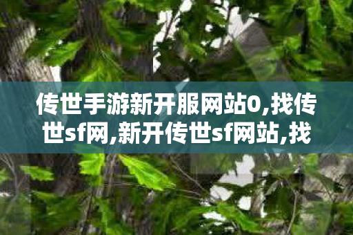 传世手游新开服网站0,找传世sf网,新开传世sf网站,找传世sf网