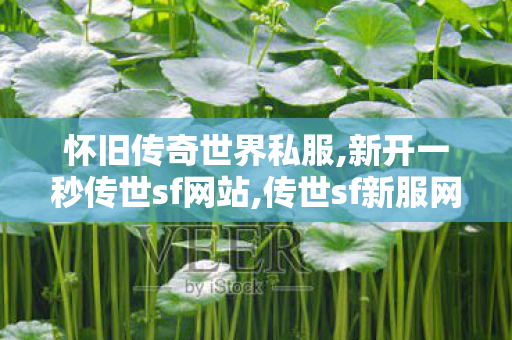 怀旧传奇世界私服,新开一秒传世sf网站,传世sf新服网发布网,新开一秒传世sf网站