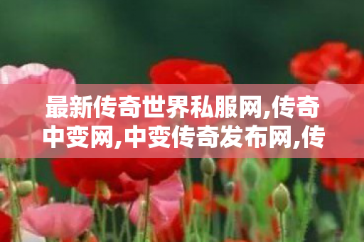 最新传奇世界私服网,传奇中变网,中变传奇发布网,传奇中变网