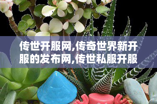 传世开服网,传奇世界新开服的发布网,传世私服开服教程,传奇世界新开服的发布网