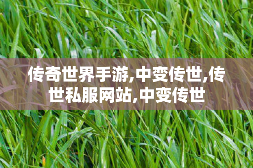传奇世界手游,中变传世,传世私服网站,中变传世
