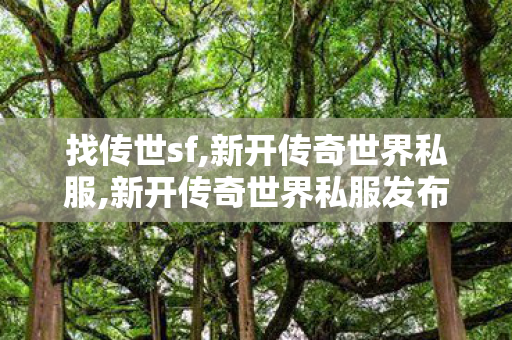 找传世sf,新开传奇世界私服,新开传奇世界私服发布网站,新开传奇世界私服