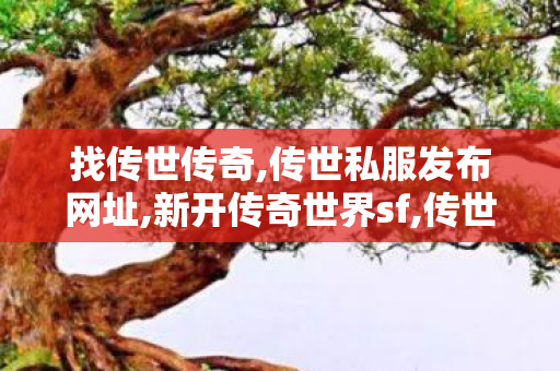 找传世传奇,传世私服发布网址,新开传奇世界sf,传世私服发布网址