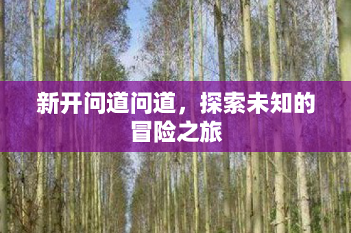 新开问道问道，探索未知的冒险之旅