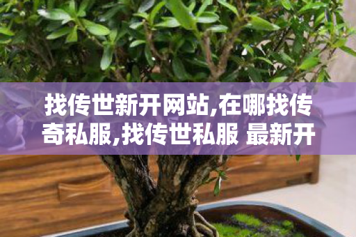 找传世新开网站,在哪找传奇私服,找传世私服 最新开,在哪找传奇私服