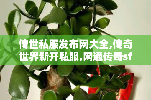 传世私服发布网大全,传奇世界新开私服,网通传奇sf发布网站,传奇世界新开私服
