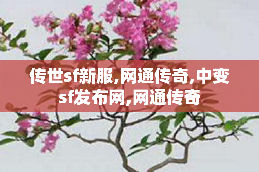 传世sf新服,网通传奇,中变sf发布网,网通传奇