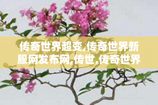 传奇世界超变,传奇世界新服网发布网,传世,传奇世界新服网发布网